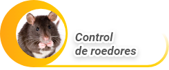Control de roedores